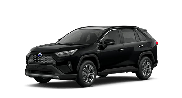 RAV4 - Preto Attitude