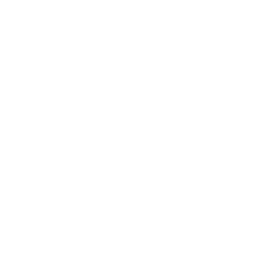 van-carro